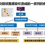 支原体肺炎到底是什么？警惕支原体肺炎叠加感染！
