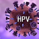 ʲôHPVΪʲô˵HPV߽鶨