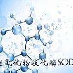 SOD����һ����������ı���Ʒ�������ײ��߼���Ȩ�����ݣ�������Ͳ���ô��Ϊ�ˣ�